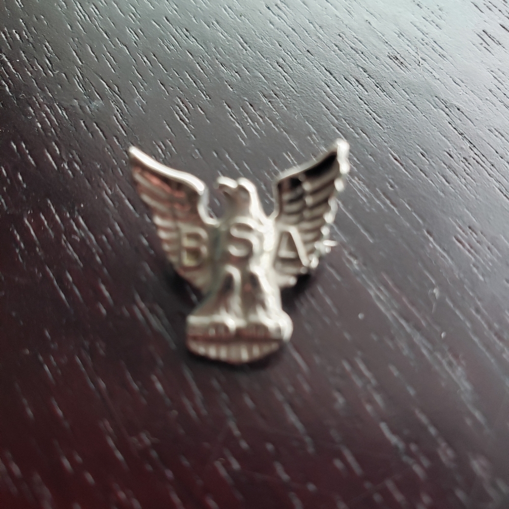 Vintage Boy Scouts of America Sterling Pin